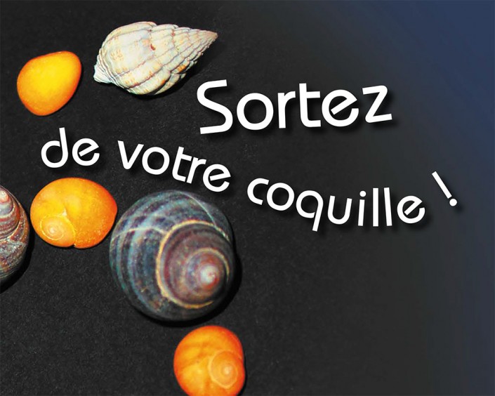 hermine 2016 portfolio hermine 2016 portfolio