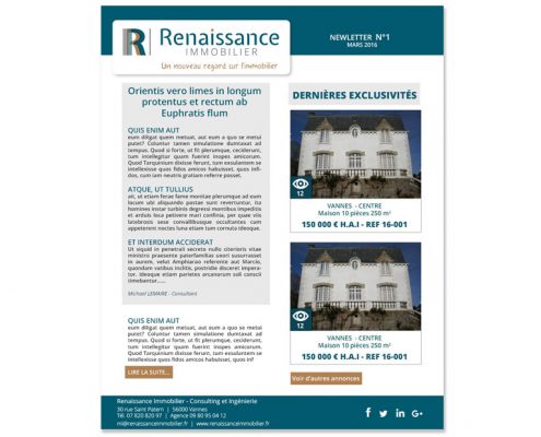 design newsletter - renaissance immobilier