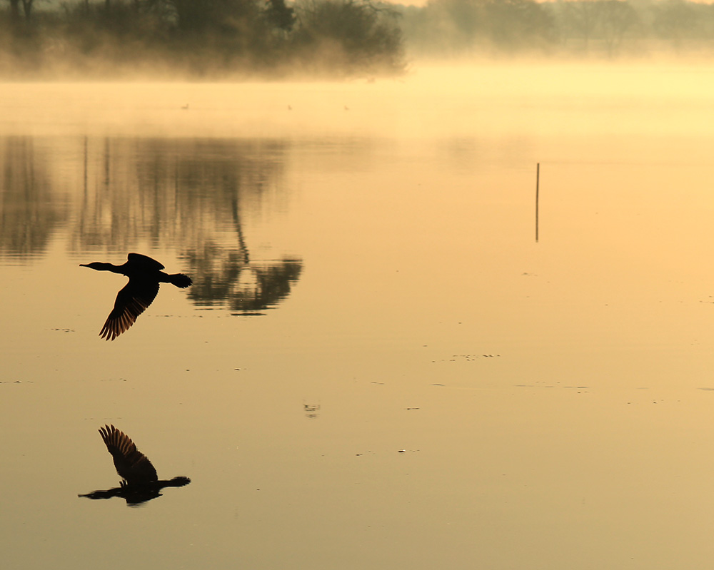 Etang de Noyalo Etang de Noyalo photographie